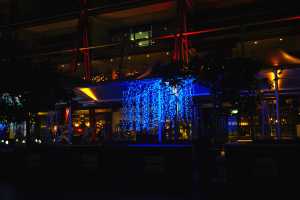DARLING-HARBOR28OCT19 (33)